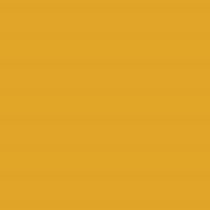 Polyneon No. 60 - 1500 m [924] - Kolor nr 1725