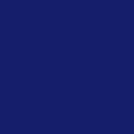 Polyneon No. 60 - 1500 m [924] - Kolor nr 1766