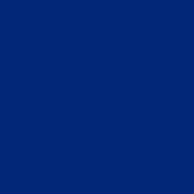 Polyneon No. 60 - 1500 m [924] - Kolor nr 1767