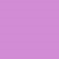Polyneon No. 60 - 1500 m [924] - Kolor nr 1831