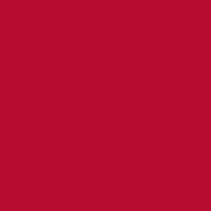 Polyneon No. 60 - 1500 m [924] - Kolor nr 1839
