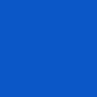 Polyneon No. 60 - 1500 m [924] - Kolor nr 1842