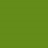 Polyneon No. 60 - 1500 m [924] - Kolor nr 1848