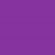 Polyneon No. 60 - 1500 m [924] - Kolor nr 1880