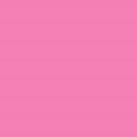 Polyneon No. 60 - 1500 m [924] - Kolor nr 1921