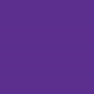 Polyneon No. 60 - 1500 m [924] - Kolor nr 1922