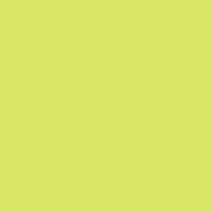 Polyneon No. 60 - 1500 m [924] - Kolor nr 1940