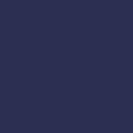 [9241964] Polyneon No. 60 - 1500 m [924] - Kolor nr 1964