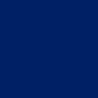 [9241966] Polyneon No. 60 - 1500 m [924] - Kolor nr 1966