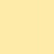 Polyneon No. 75 - 2500 m [936] - Kolor nr 1866